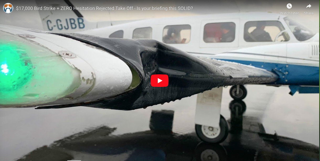 $17,000 Bird Strike + ZERO Hesitation Rejected Take Off - Is your briefing this SOLID?