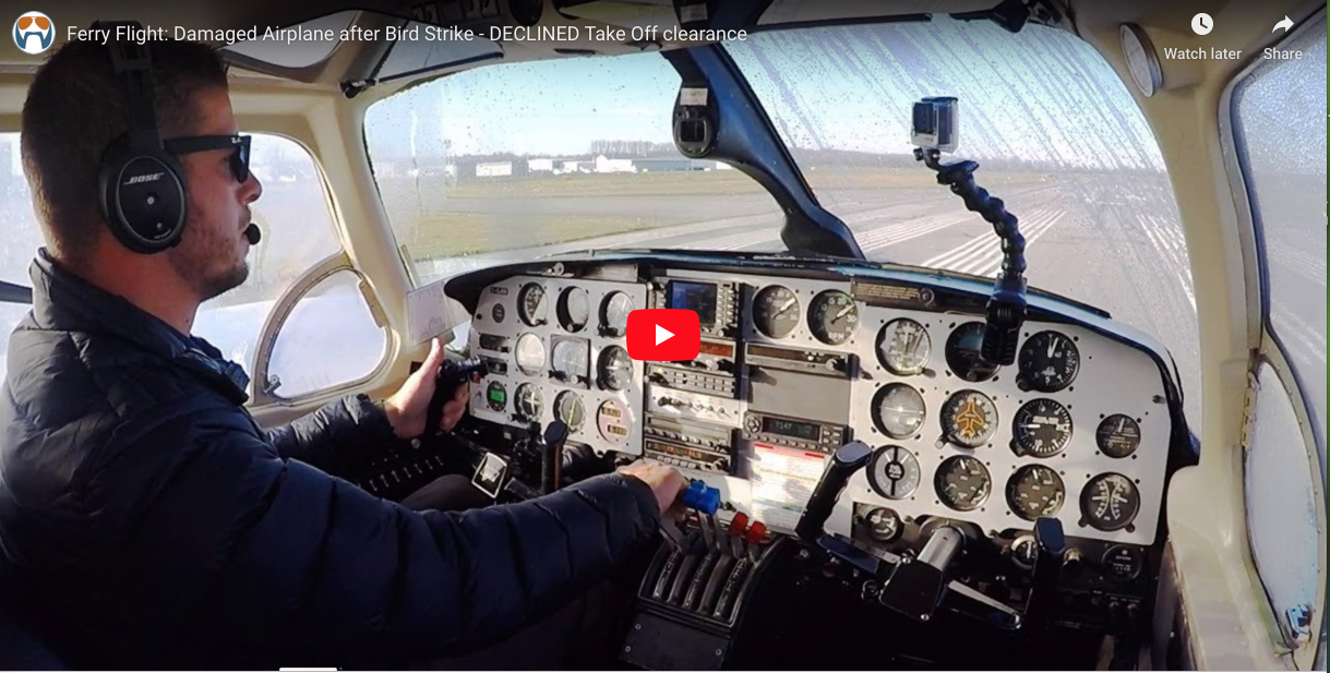 Ferry Flight: Damaged Airplane after Bird Strike - DECLINED Take Off clearance